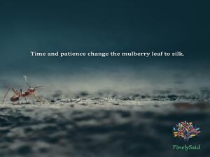 Image for : Time and patience change the mulberry leaf to silk.